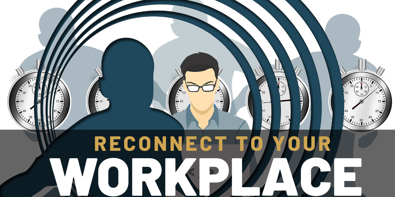 SilkCelia-Reconnect To Your Workplace
