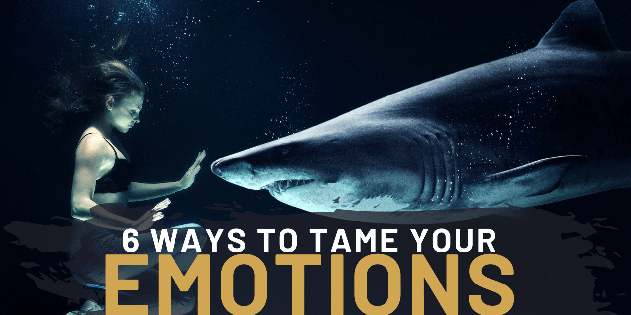 How To Tame Your Emotions